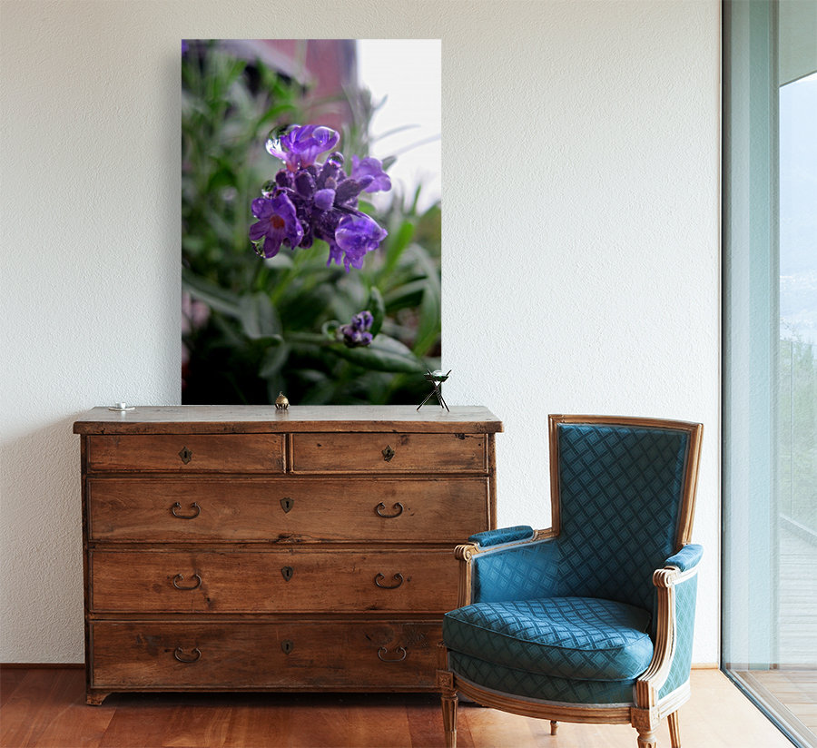 Floating Lavender 1 Reproduction