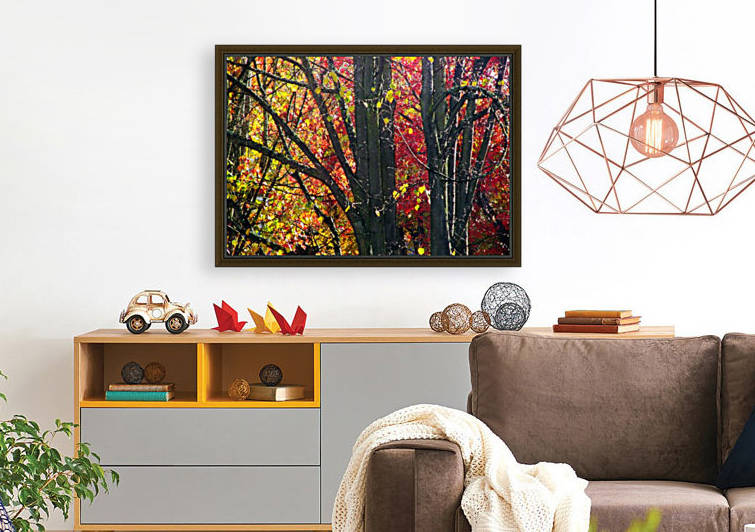Swirly Autmn Tree by Jaeda DeWalt