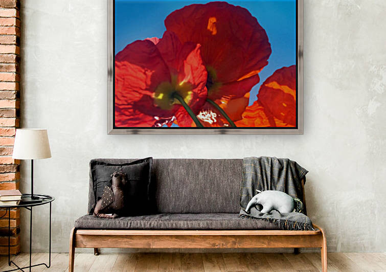 Red Poppy Sky Reproduction