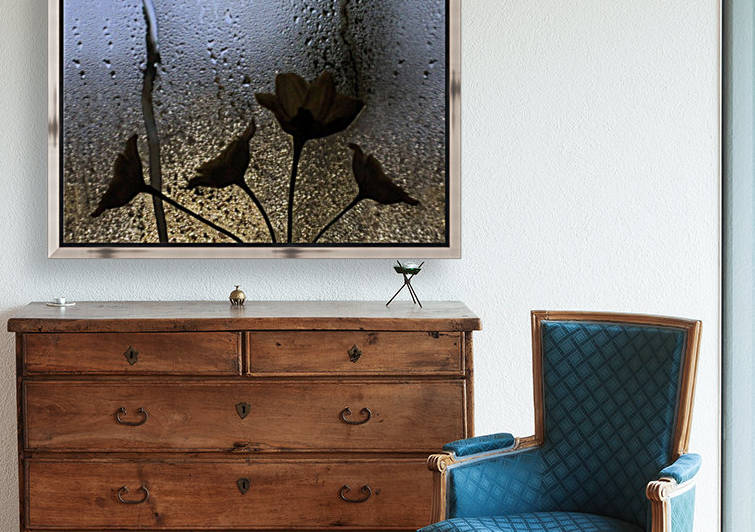 Abstract Rain Flowers Reproduction