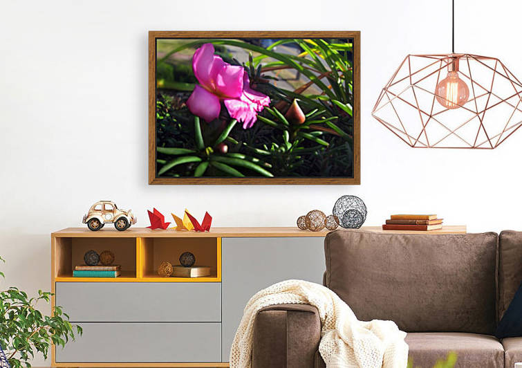 Pink Summer Flower 2 by Jaeda DeWalt