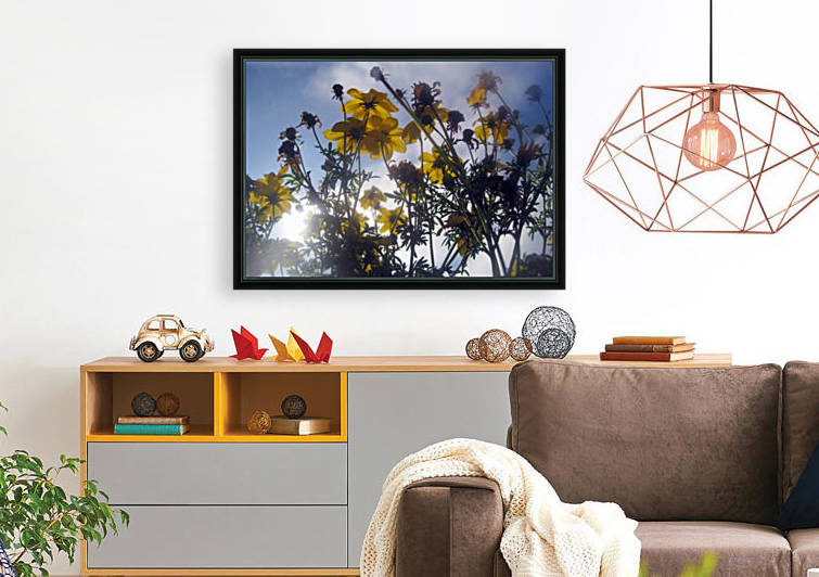 Flowers and Sky Reproduction