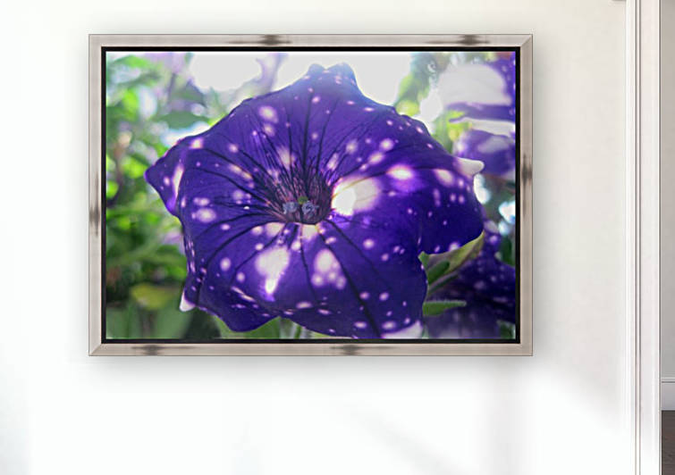 Starry Sky Flower 9 Reproduction