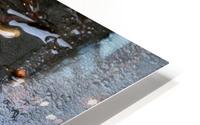Floating Autumn Leaves HD Metal print
