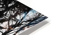Where  Secrets Sleep HD Metal print