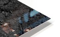 The Lone Leaf HD Metal print