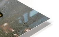 Abstract Rain Flower HD Metal print
