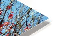 Autumn Winter 1 HD Metal print