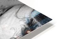 Vulnerable HD Metal print