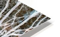 Buried Pain HD Metal print