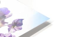 Sun-Drenched Flowers HD Metal print