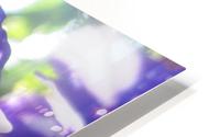 Starry Sky Flower 9 HD Metal print