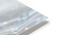 Floating Lavender 2 HD Metal print