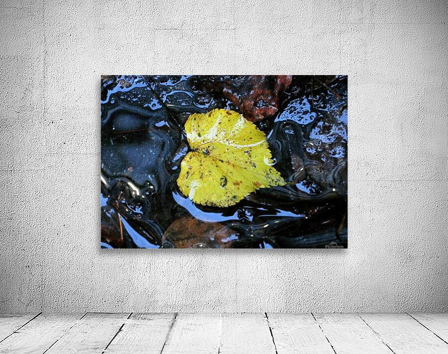 Floating Autumn Leaf Wall Preview