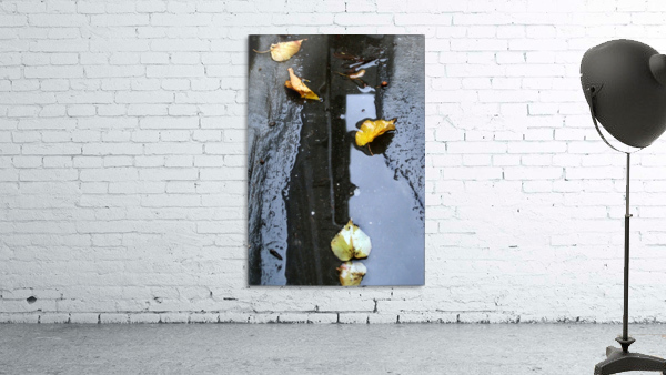Floating Autumn Leaves Wall Preview