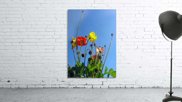 Spring Sky Garden Wall Preview