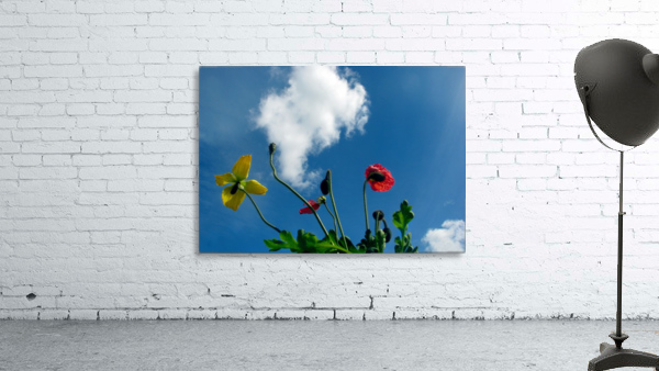 Happy Spring Flowers Wall Preview