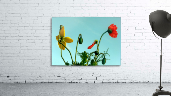 Spring Sky Flowers Wall Preview