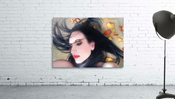 The Beautiful Prisoner Wall Preview