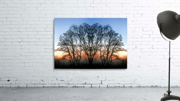 Abstract Tree Sunrise Wall Preview