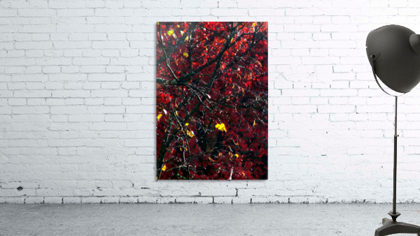 Red Tree Abstract Wall Preview