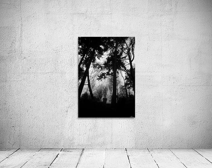 Where  Secrets Sleep Wall Preview