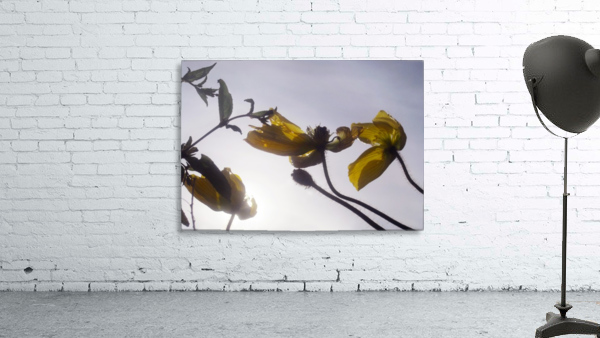 Anstract Yellow Flowers Wall Preview