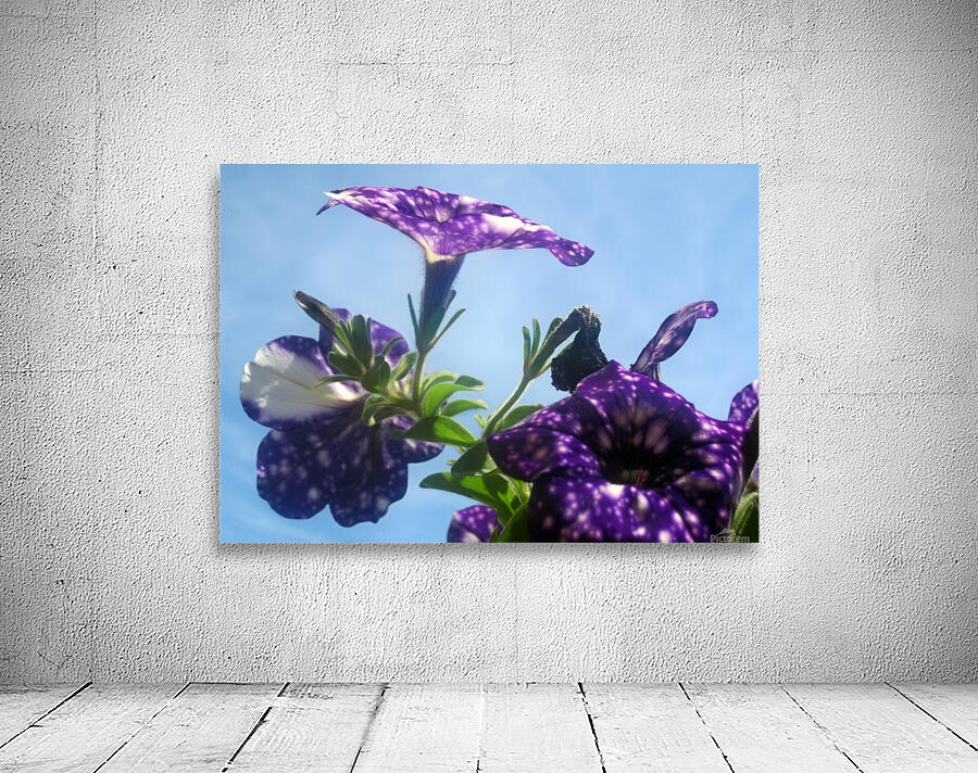 Violet Flowers 5 Wall Preview