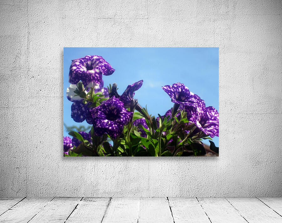 Violet Flowers 4 Wall Preview