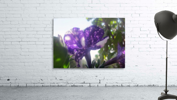 Violet Flowers 7 Wall Preview