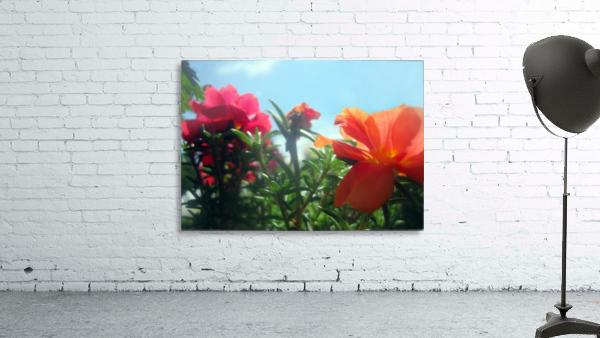 Garden Flowers  Wall Preview