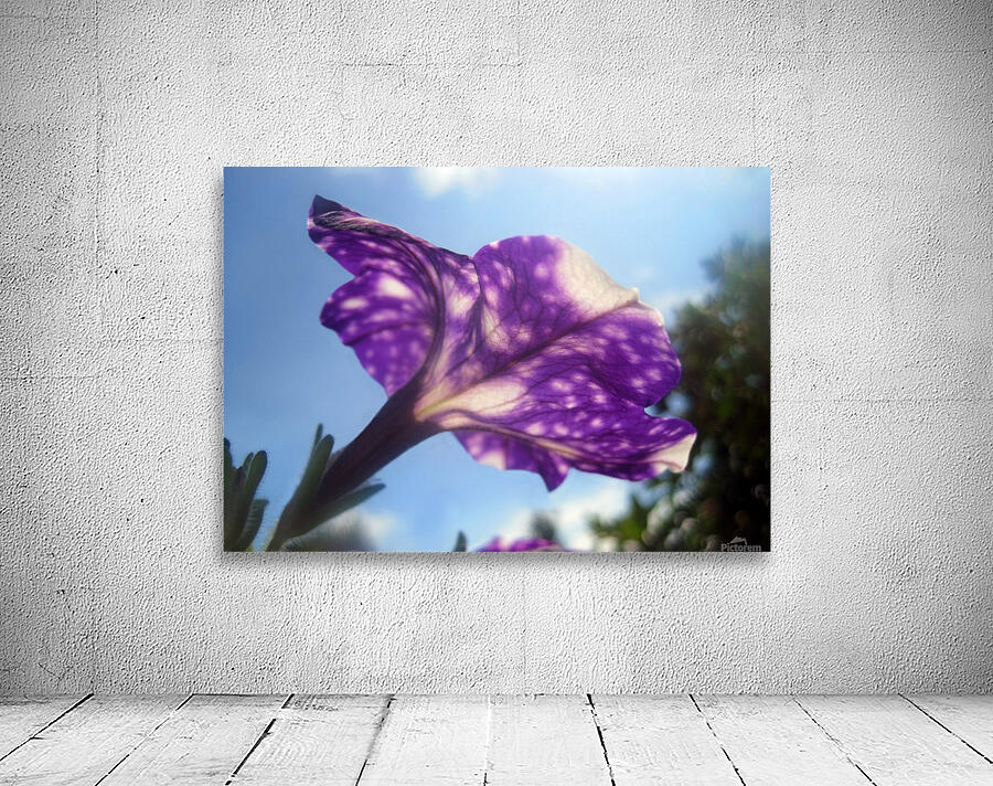 Violet Flowers 2 Wall Preview