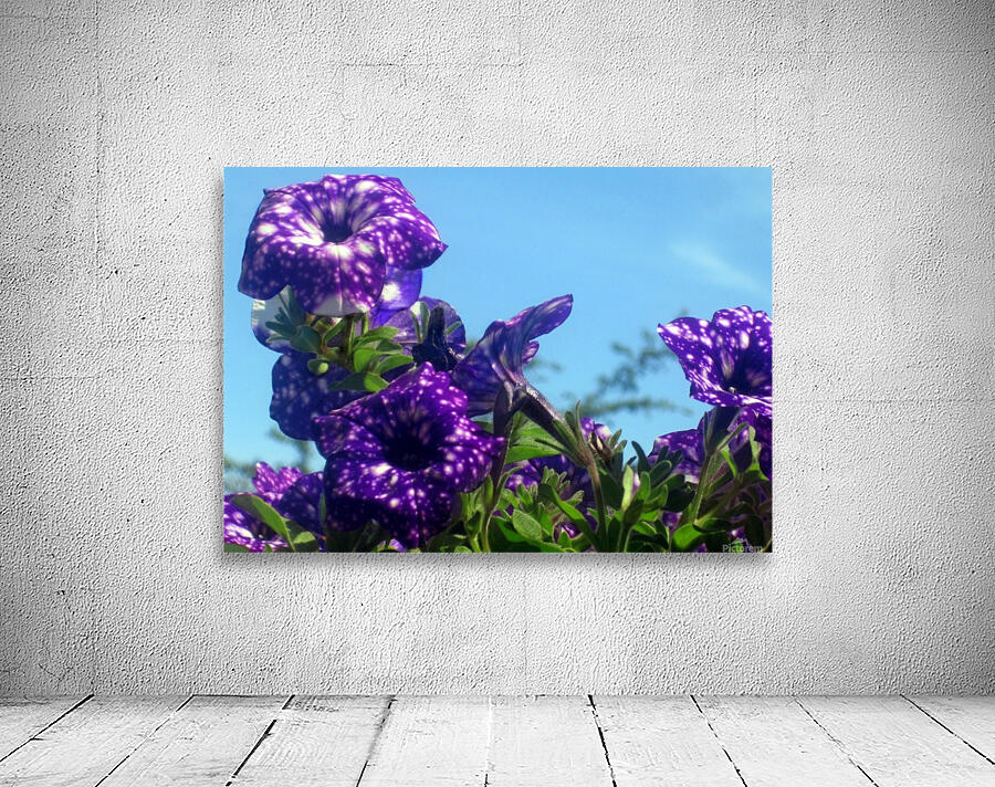 Violet Flowers 6 Wall Preview