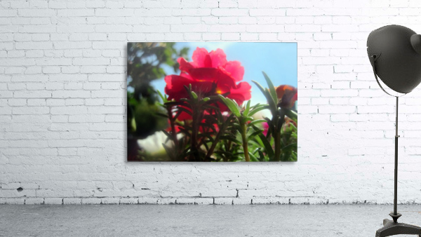 Garden Flower Wall Preview