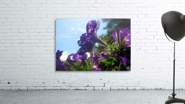 Violet Flowers 3 Wall Preview