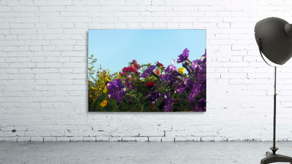 Balcony Flowers Wall Preview