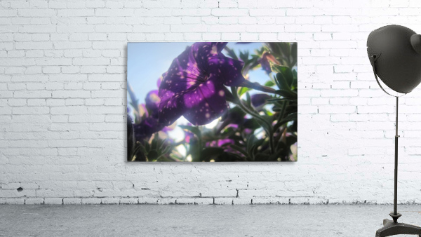 Starry Sky Flower 2 Wall Preview