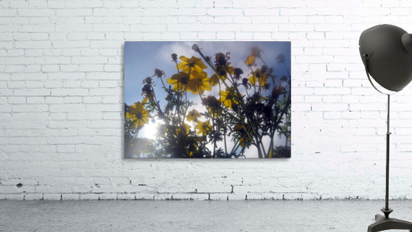 Flowers and Sky Wall Preview