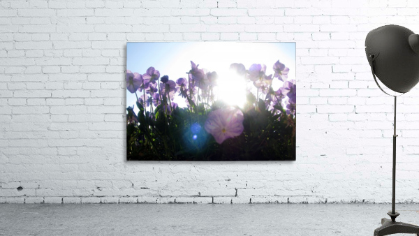 Sun-Drenched Flowers Wall Preview