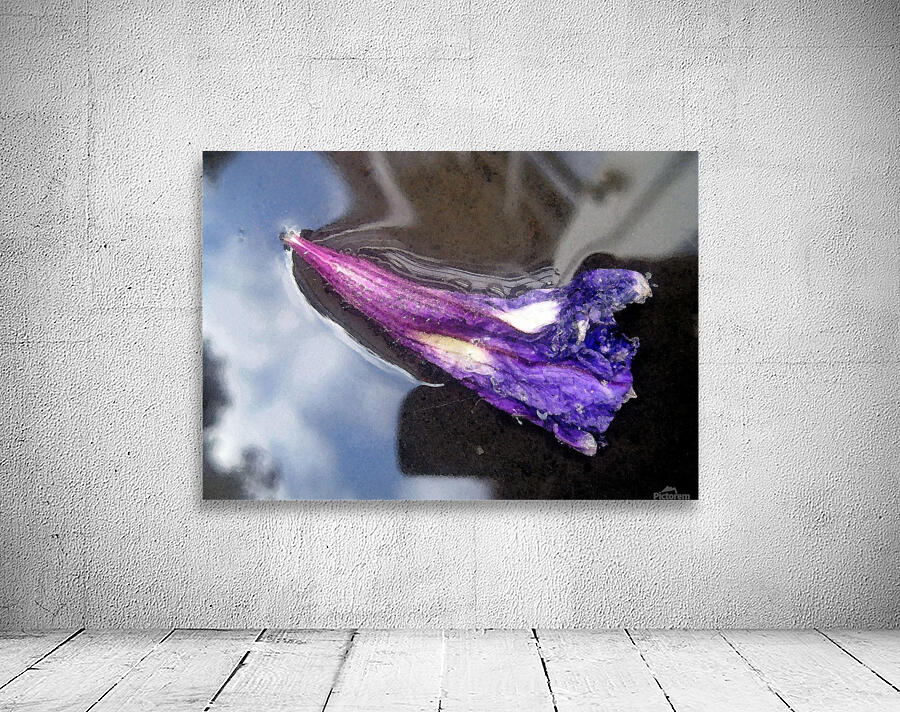 Floating Starry Sky Flower Wall Preview