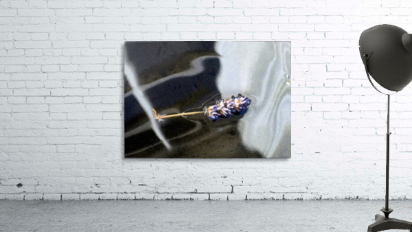 Floating Lavender 2 Wall Preview