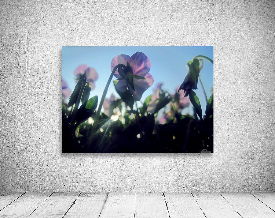 Summer Flowers Wall Preview