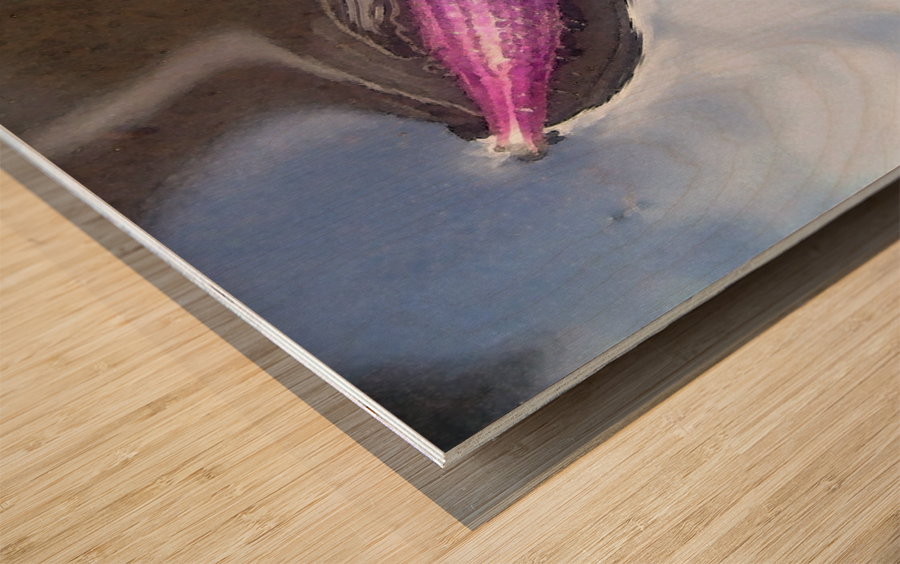 Floating Starry Sky Flower Wood print