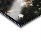 Mock Orange Acrylic print