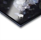 Flowers Acrylic print