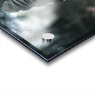 Feather Acrylic print