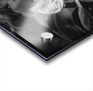 Flower Black and White Acrylic print