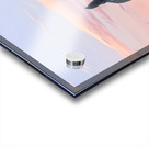 Peekaboo Horse Acrylic print