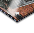 Door Vine Acrylic print