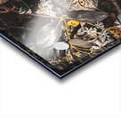 Momma Cat Acrylic print